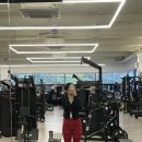 팀스톤