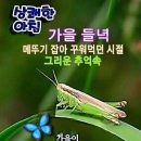 눈물없이볼수없는감동글소유자“김영자”담아온글 이미지