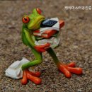 강남케이공인중개사사무소 이미지