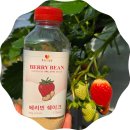 주암농장 | 순천 청년농업인의 꿈이 담긴 한 잔, 푸르디농장 베리빈쉐이크 후기