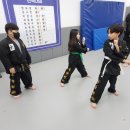 창원 하남 국술원합기도 이미지