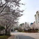 울동네 티스토리