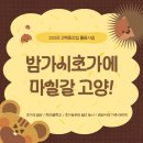 지에스25고양밤가시점 | [2026 밤가시] 전체 프로그램 안내 🌿