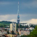 삼성웰스토리(주)티씨케이 | 삼성웰스토리(주) 연봉 복지 워라밸 채용 요약