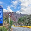 신세계리조트