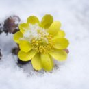 나노필의원 이미지