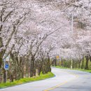 서시천자전거길1 이미지