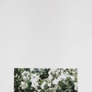 공진중학교 이미지