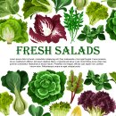 salad leaf vegetable greens banner border design 이미지