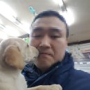 봄봄펫살롱