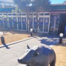 해운대싱싱대구탕 이미지