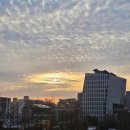 형제자원 | 안중근마라톤 3.1절 마라톤 107주년 기념 참가후기