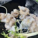 배부른식당 이미지