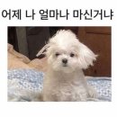 한강대로46길 네이버블로그