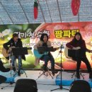 수문농장 네이버블로그