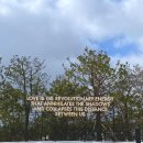 제주포도 | 제주 포도뮤지엄 전시 후기 | 우리 이토록 작은 존재들