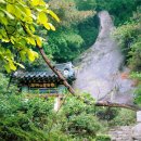 자연속에 고기세상 이미지