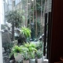 오씨전통한의원 이미지