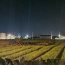 월정소굴 이미지