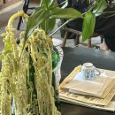 북촌식당 이미지