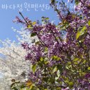 바다정원펜션＆게스트하우스 이미지