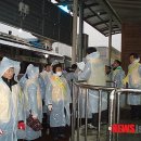 주정차50 이미지