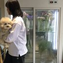 스포츠 캐주얼 브랜드 추천 SUNG1975 : 데일리 맨투맨 후기
