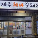 제주처녀꿀돼지