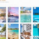 복기농장 | 하와이 신혼여행 경비 5박7일 오아후 투어 코스 및 숙소 후기