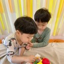 리지케이크 이미지