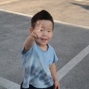 브이컷트