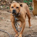 만리농장 이미지