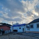 캠프이가리85 이미지