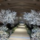 카멜리아플라워 | [W_1] 밀리토피아 웨딩센터 상담후기 (계약O/카멜리아홀)