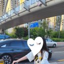 고망고옥정 | 고망고 왜 자꾸 가는 거야 고망고 고만가