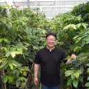 마블농장 이미지