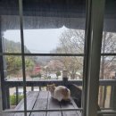 이마트24태안안면꽃지점 | 태안/안면도여행 2일차 - 꽃지구름펜션/코리아...꽃지해수욕장/햇살머믄꼬마김밥 안면점/태안대중교통