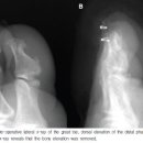 디앤에프병원 이미지