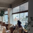 모악산의 아침 이미지