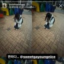 동래여고매점 이미지
