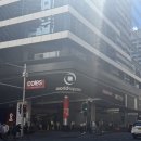 월드크리닝하우스 | 호주워홀 | 시드니 임시숙소 추천 '더팟시드니' 백패커스 게하 후기, 이용꿀팁⭐️