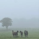 문수목장 이미지