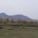 모량초등학교 Daum카페
