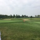 BEST 골프클럽 이미지