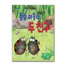 마시리 이미지