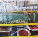 불티식당 - 중구 | 강릉사천진해변맛집 바다 보며 먹는 조개구이+얼큰해물라면, 불티조개구이 솔직 후기 🌊🦪