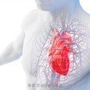 소리숨이비인후과건강 네이버블로그