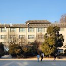 수원-1971 이미지