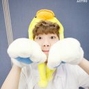 멍멍왈왈 이미지