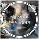 대전스팀세차 :: 차비누스팀세차 XM3 스팀세차 후기